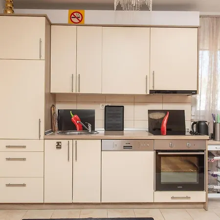 公寓 Hani 特罗吉尔